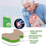 Herbal Knee Patch ( 20pcs Pack )