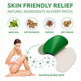 Herbal Knee Patch ( 20pcs Pack )